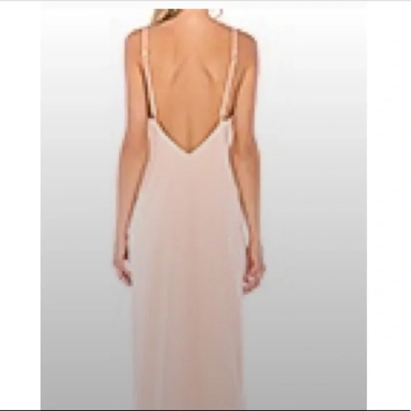 Privacy Please Rasika Gown in Blush Small and Medium Size - Picture 5 of 16